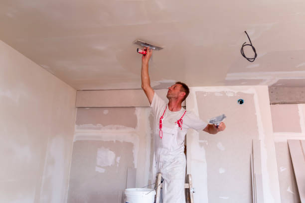 Best Drywall Sanding and Smoothing  in Cape Coral, FL