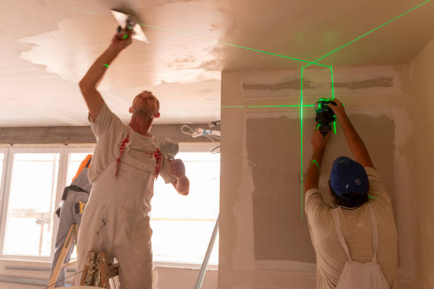 Best Fire-Damaged Drywall Repair  in Cape Coral, FL